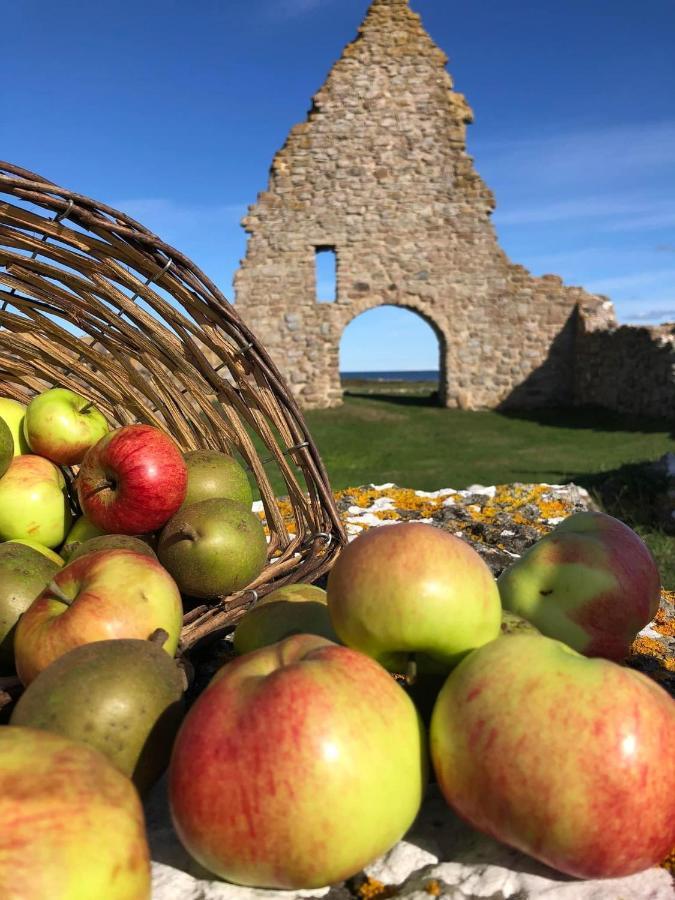 Bo I Egen Stuga Pa Haerlig Oelandsgard Köpingsvik Buitenkant foto