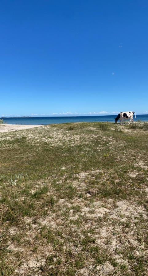 Bo I Egen Stuga Pa Haerlig Oelandsgard Köpingsvik Buitenkant foto